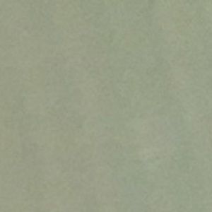 Meet your Posher, Disha